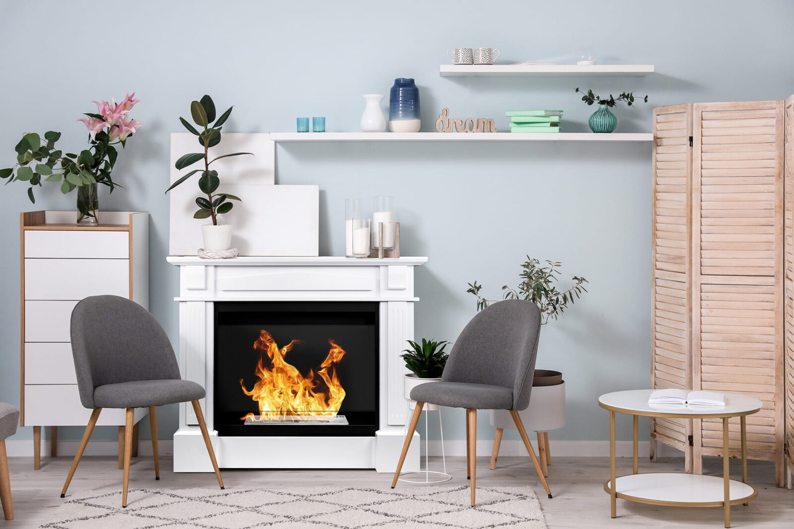 Fritstående biopejse Kamin - Billede 2