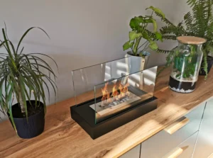 Glas sæt med 2 stk. til Fritstående biopejse Home - Billede 2