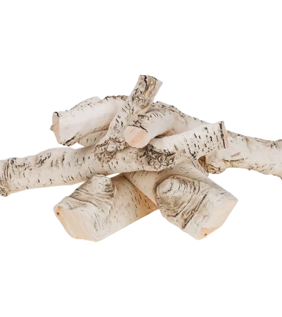 3529